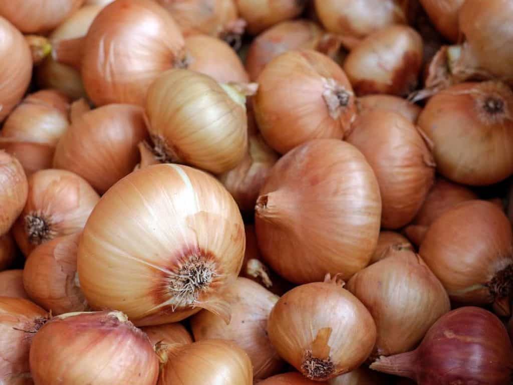 onions