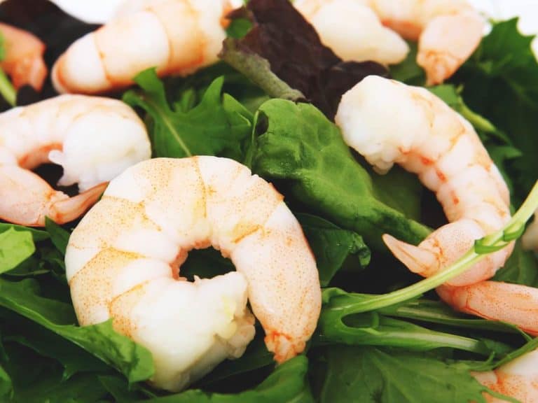 16 Best Shrimp Substitutes [Regular, Vegetarian, non-shellfish]