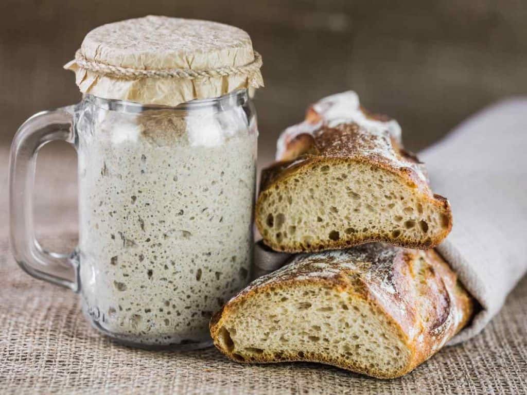 sourdough starter