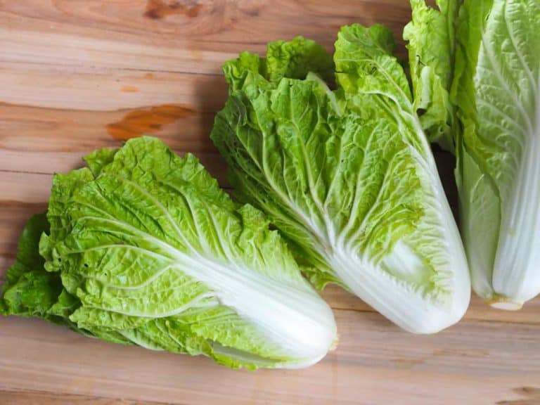 Top 10 Substitutes for Chinese Cabbage