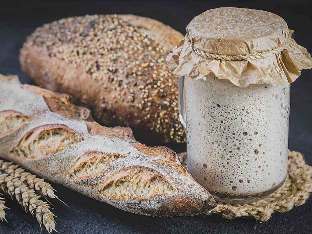 Sourdough bread and dough