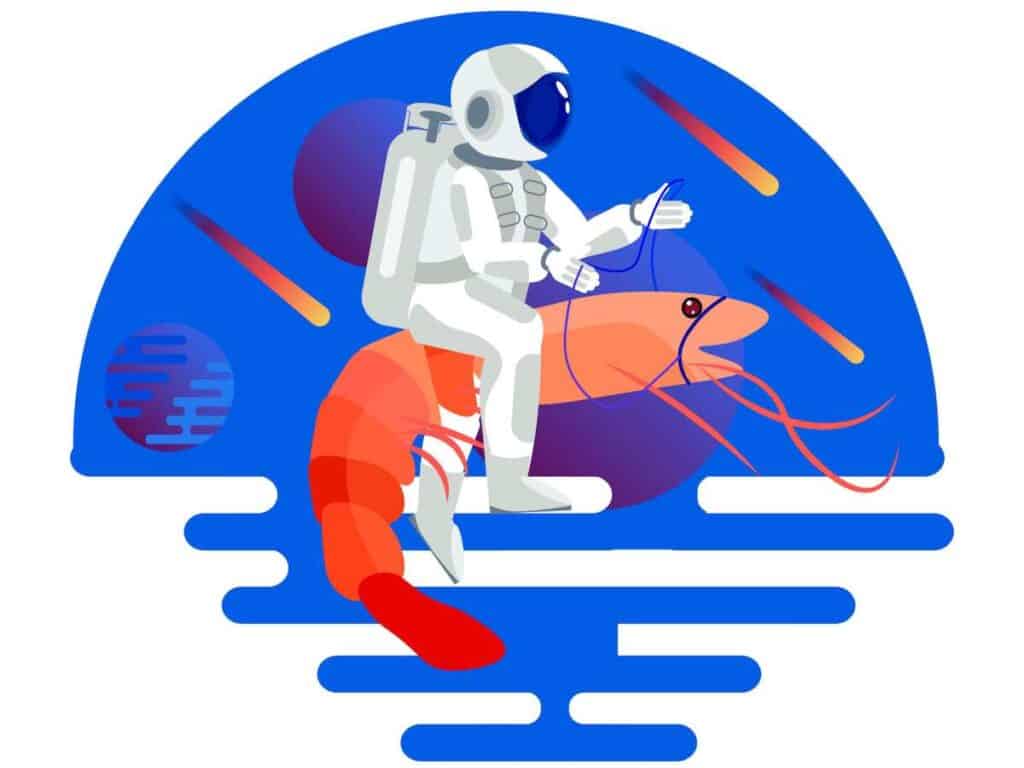 Astronaut riding shrimp