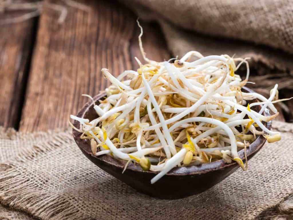 bean sprouts