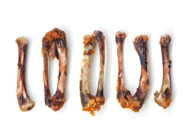Can You Eat Chicken Bones – Fun Facts