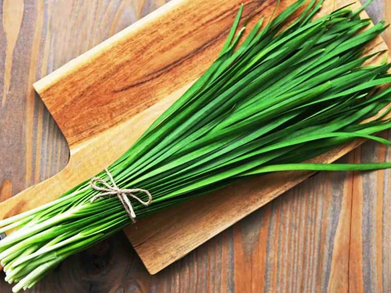 How To Store Fresh Chives At Home: Shelf Life, Temperature, etc.
