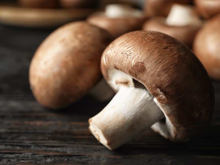 How to Tell If Mushrooms are Still Good: Storing Tips