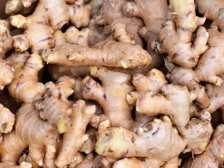12 Ways to Store Ginger Root