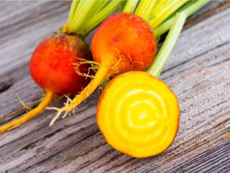 How to Store Golden Beets: Everything You Need to Know