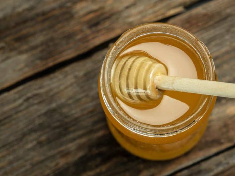 Wildflower Honey vs. Clover Honey: Which One is Best