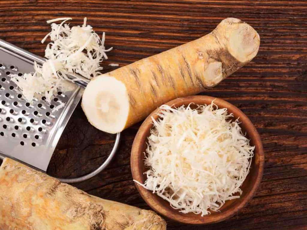 horseradish root