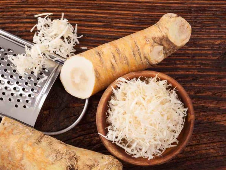 Did You Know These 8 Cool Horseradish Root Tips?