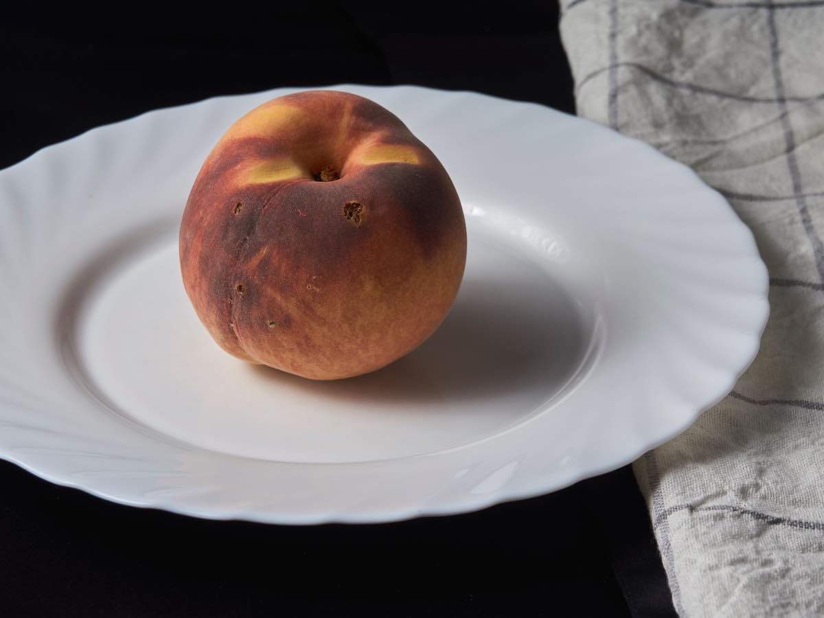 mealy peach