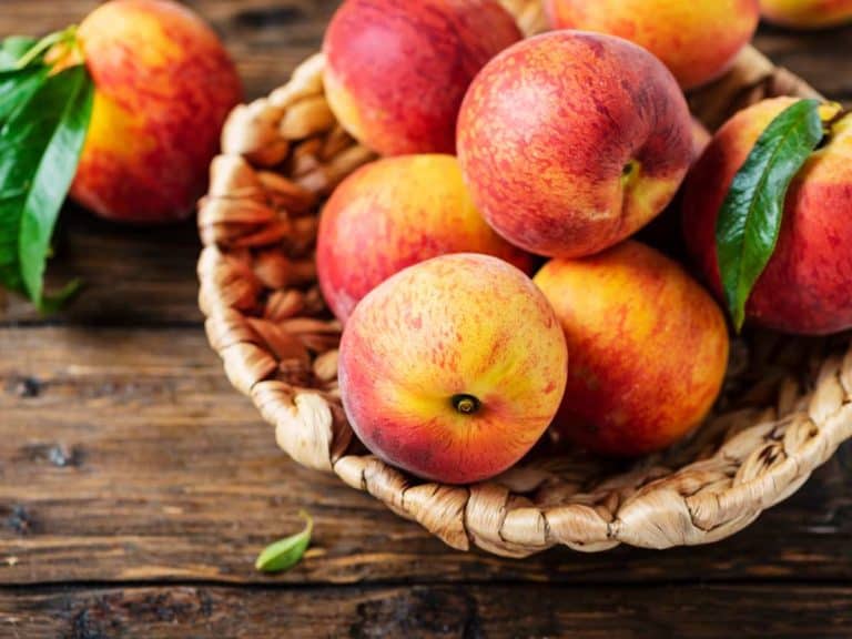 How to Store Nectarines at Home: Shelf Life, Temperature, etc.