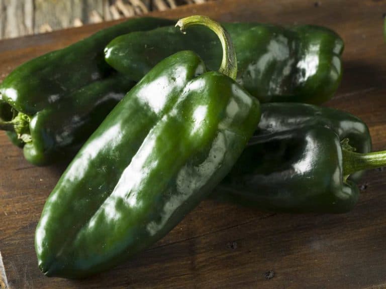 How To Store Poblano Peppers The Right Way